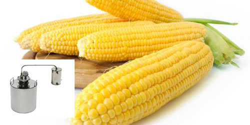 Как сделать самогон из кукурузы (бурбон) в домашних условиях? Лучший рецепт своими руками