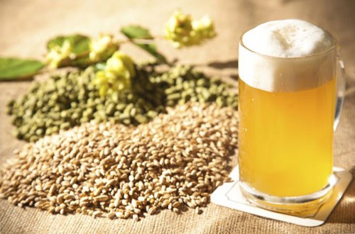 Как сварить домашнее пиво из концентрата? Подготовка, брожение и выдержка в домашних условиях