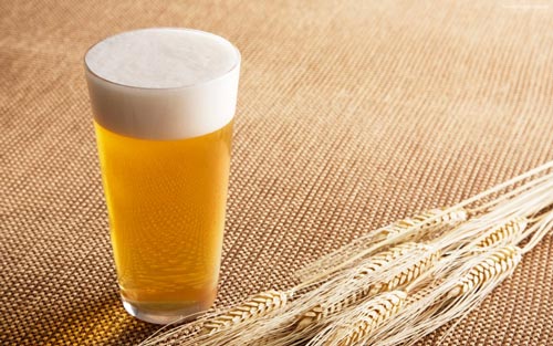 Осваиваем рецепт пшеничного пива своими руками. В чем отличие от ячменного?