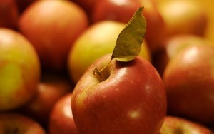 Брага на яблочном соке &mdash; 6 отличных рецептов для самогона с дрожжами и без