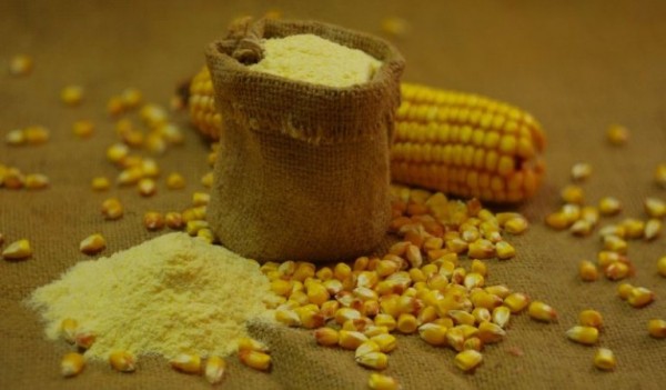 Как правильно сделать кукурузную брагу для самогона