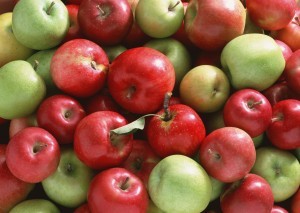 Как приготовить брагу на основе яблок?