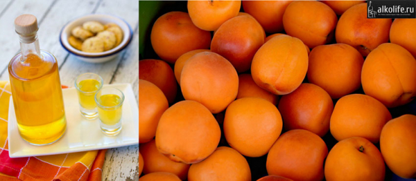 Как приготовить абрикосовую настойку