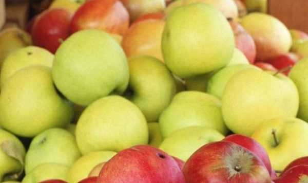 Самогон из яблок &ndash; рецепты и хитрости приготовления