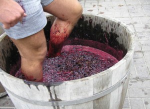 Приготовление домашнего вина из винограда