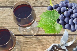 Коньяк из винограда своими руками &ndash; идеальная альтернатива подлинному французскому напитку