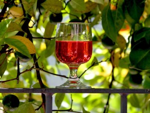 Вино из ягод барбариса в домашних условиях