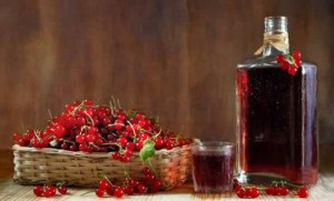 Рецепт настойки из красной смородины на спирту