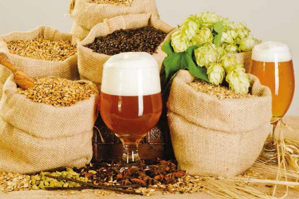 Пивоварение: как сварить пиво в домашних условиях, рецепты приготовления домашнего пива с хмелем, солодом и хлебом