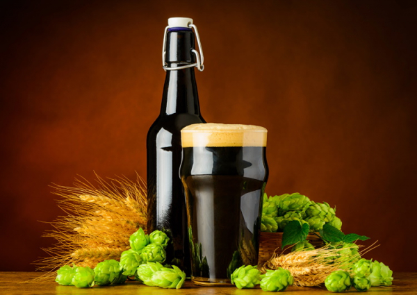 Пиво из хмеля: как выбрать ингредиенты и легко приготовить