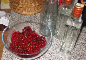 Рецепт настоек на ягодах калины