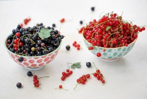 Рецепты настоек на ягодах смородины