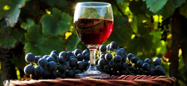 Вино не бродит, что делать? 13 причин исправления