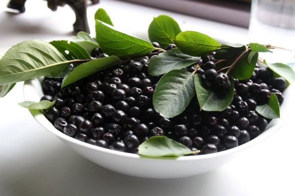 Домашняя наливка из черноплодной рябины &ndash; 10 лучших рецептов
