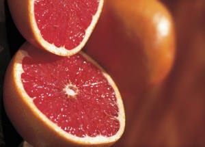 Рецепты настоек на водке из ягод