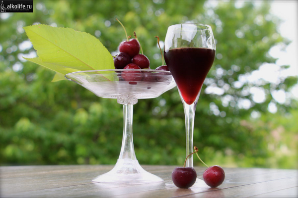 Лучшие рецепты вин из ягод черешни
