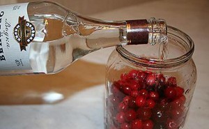 Настойка из брусники на водке: рецепт в домашних условиях