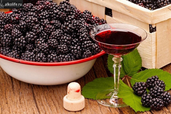 Как готовить и пить Ежевичное вино