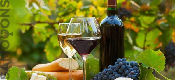 Как приготовить домашнее вино из винограда (белое или красное)