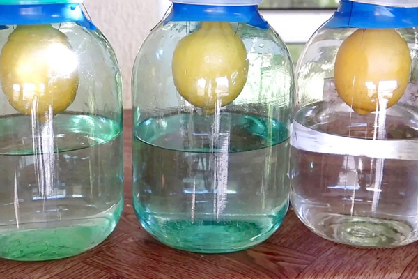 Самогон на лимоне: 11 рецептов на любой вкус и простые способы избавиться от горечи