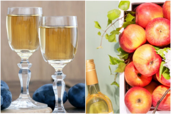 Как сделать вино из слив в домашних условиях &mdash; лучшие рецепты сливового вина