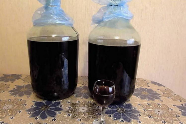 Вино из сорта Изабелла &mdash; рецепт приготовления в домашних условиях красного, белого и крепленного вина из винограда