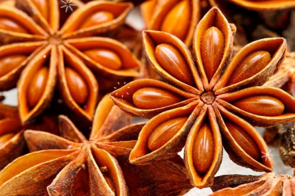 Самбука (Sambuca) &mdash; ликер для любителей ярких впечатления и аромата аниса