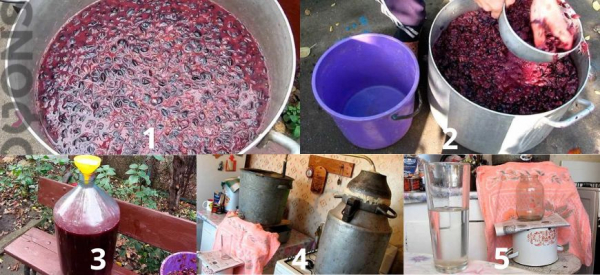 Чача из винограда в домашних условиях &ndash; грузинский рецепт