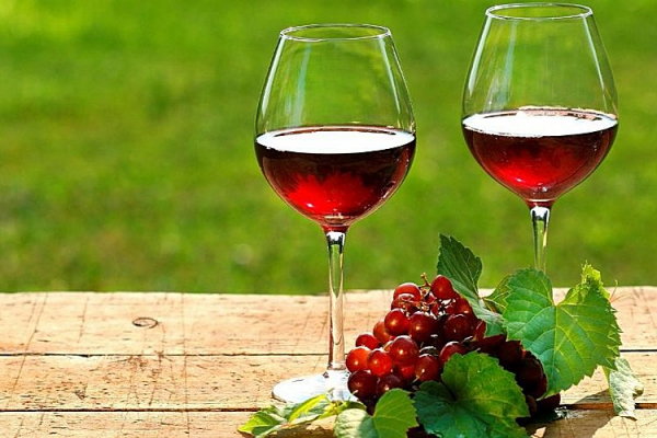 Вкусное вино из калины &mdash; 9 простых и надежных рецептов напитка в домашних условиях
