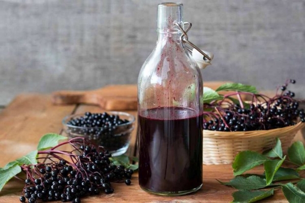 Как сделать домашнее вино из черноплодной рябины — простой рецепт приготовления, возможные проблемы и их решение