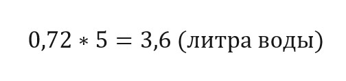 
									Домашний «Бейлис» на экстракторе Сокслета. Пошаговый рецепт сливочного ликера								