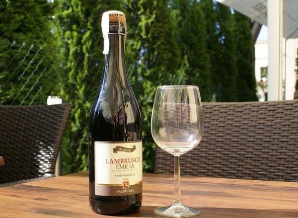 Игристое вино Ламбруско (Lambrusco): освежающее сочетание красных и белых тонов