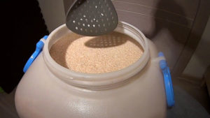 Дрожжи «Кодзи» для холодного сбраживания зернового сырья. Сколько бродит брага?